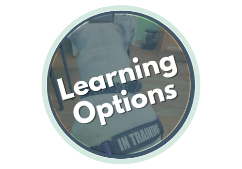 Learning Options