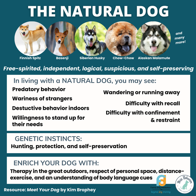 Natural dog sales