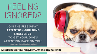Attention Challenge Picture