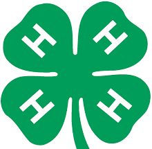 4H 