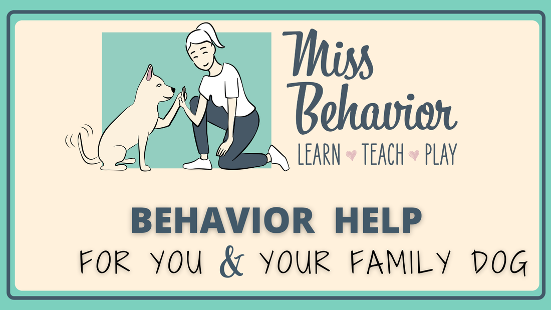 Miss Behavior Training Blog