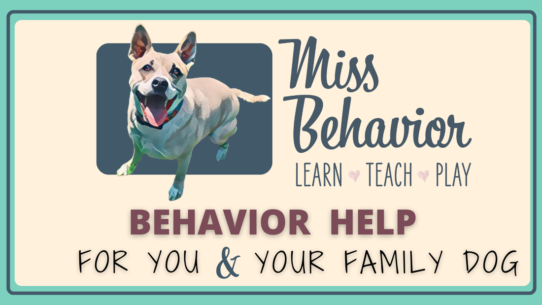 Miss Behavior Banner