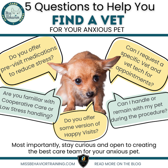 5 questions to ask vet