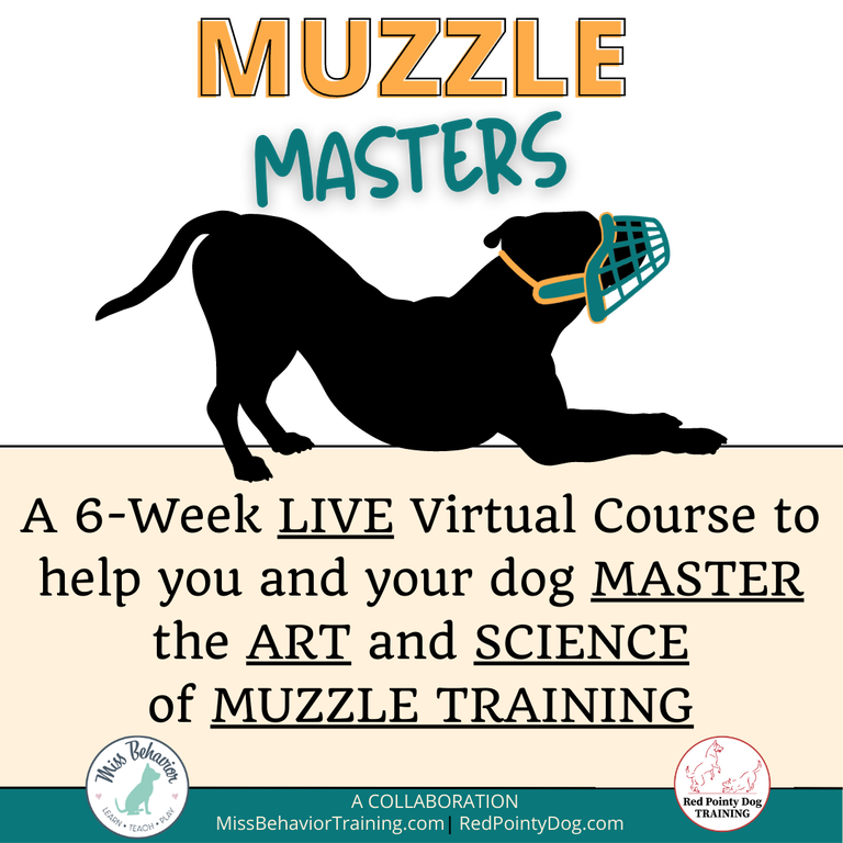 Picture - Muzzle Masters Course