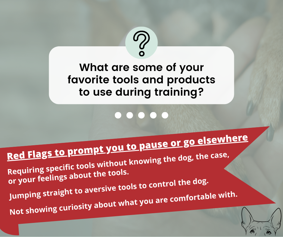 Questions to ask when searching for a trainer - Miss Behavior ...